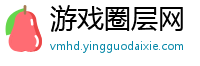 游戏圈层网